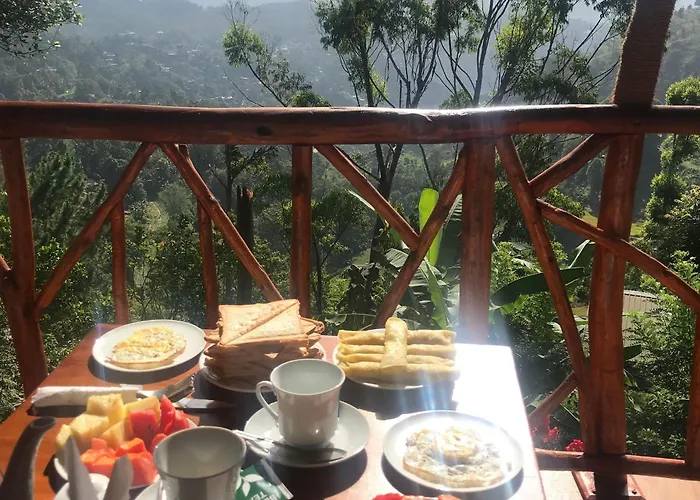 Golden Rich View
